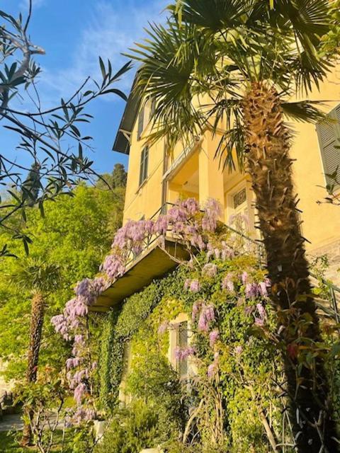 Villa Gina Varenna Zewnętrze zdjęcie