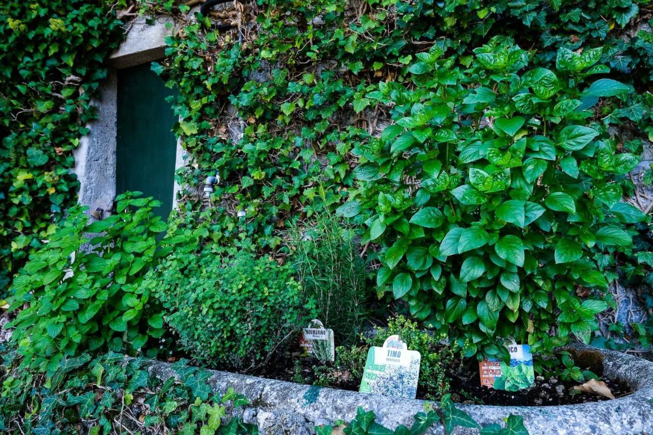 Villa Gina Varenna Zewnętrze zdjęcie